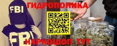 ГАЛЛЮЦИНОГЕННЫЕ ГРИБЫ Краснознаменск
