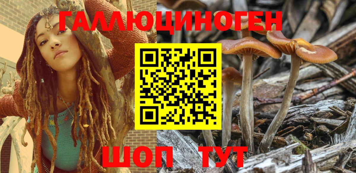 Галлюциногенные грибы прущие грибы  Галлюциногенные грибы Psilocybine cubensis  Карачаевск  Вход с VPN 