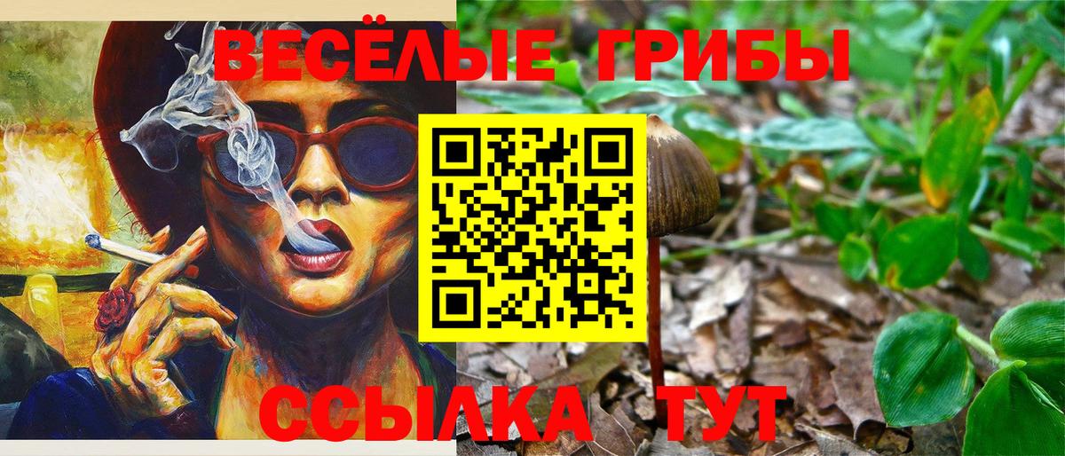 Псилоцибиновые грибы прущие грибы Карачаевск
