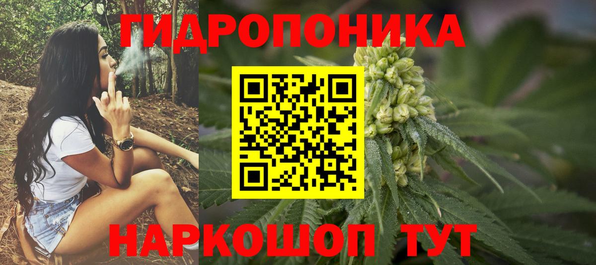 Бошки марихуана гибрид Карачаевск